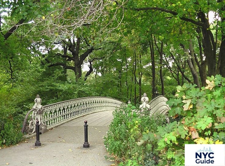 Best Time to Visit Central Park Zoo