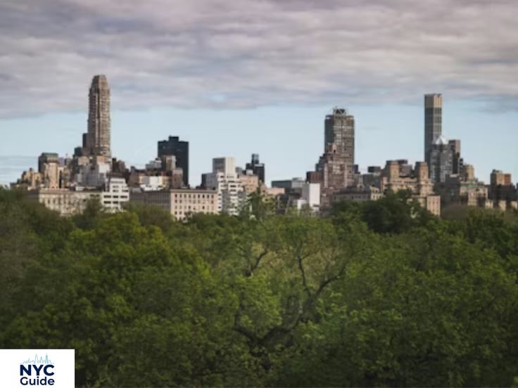 Central Park autumn trees and skyline view Manhattan