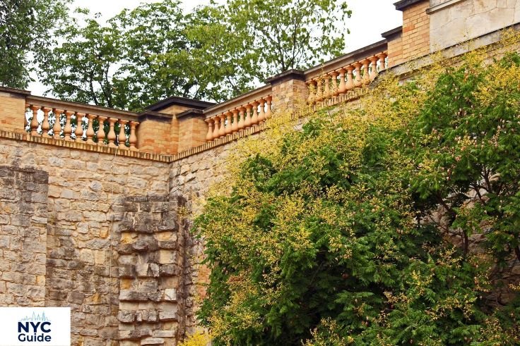 Nature in View Wildlife and Scenic Beauty