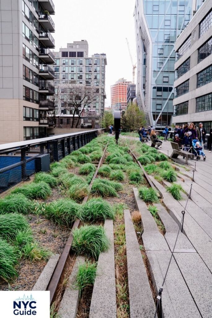 The High Line elevated park walkway in Manhattan with plants and skyline views