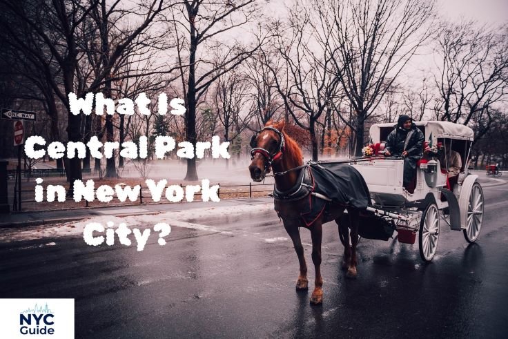 What Is Central Park in New York City?
