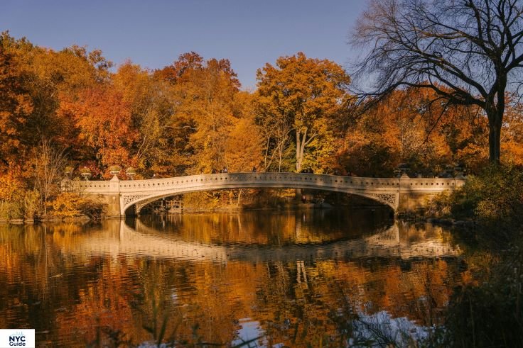 “Romantic picnic setup near Cherry Hill and Bow Bridge in Central Park”