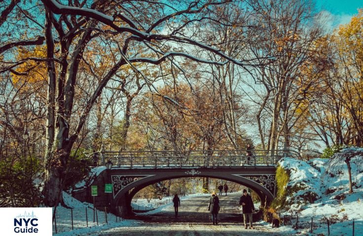 Central Park in New York