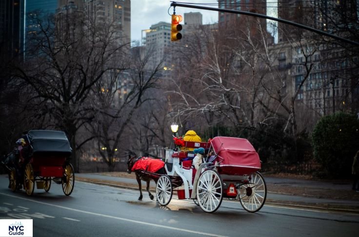 Horse carriage ride near Central Park South