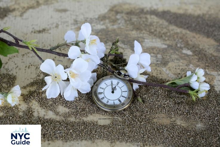 central park zoo hours