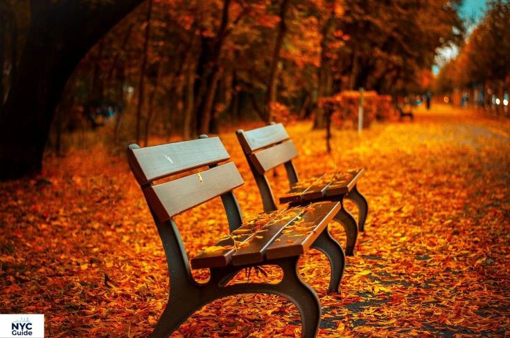 Strawberry Fields Central Park in fall season with golden leaves