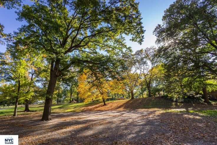 Strawberry Fields garden peaceful area in Central Park NYC