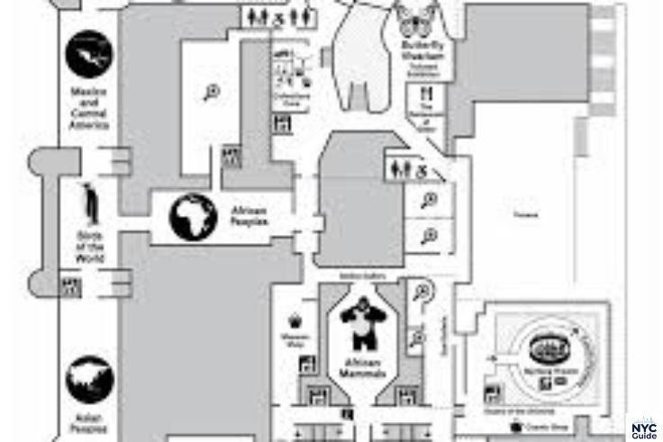 Map of American Museum of Natural History exhibition halls and floors