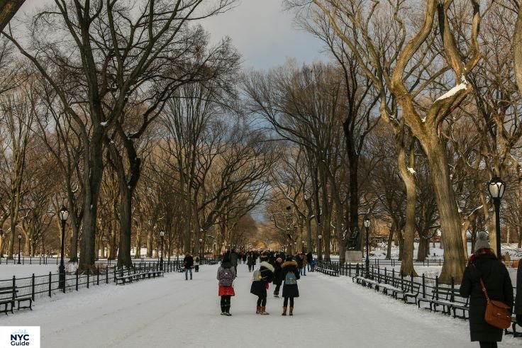 Snow-covered Mall in Central Park during winter
