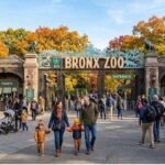 bronx zoo