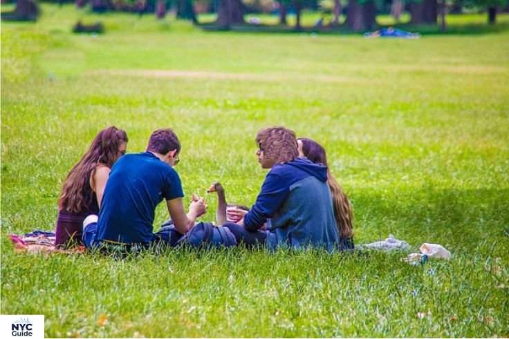 “Friends enjoying a group picnic on the Great Lawn in Central Park”