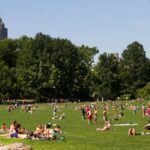 picnic in central park nyc