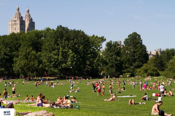 “People enjoying a picnic in Central Park with the Manhattan skyline behind them”